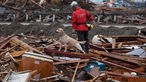 Hund sucht in Trümmern nach Überlebenden.
