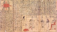 Ein Blatt Papyrus, das mit Hieroglyphen beschrieben ist und das an einigen Stellen kleine Löcher hat.