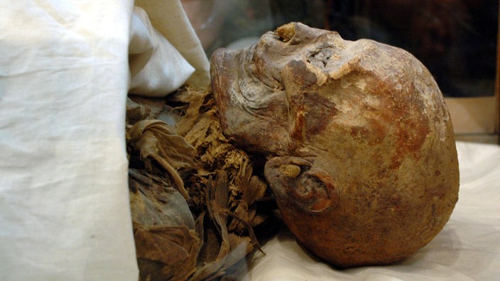 Mumie der Hatschepsut, Kopf