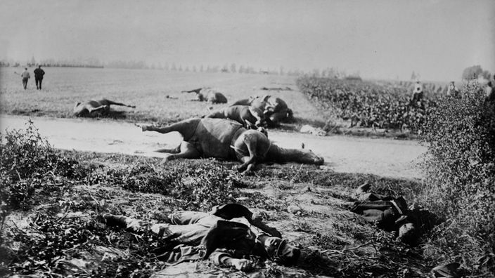 schwarz-weiß Foto gefallener Soldaten und deren Pferde auf einem Feld nach einer Schlacht