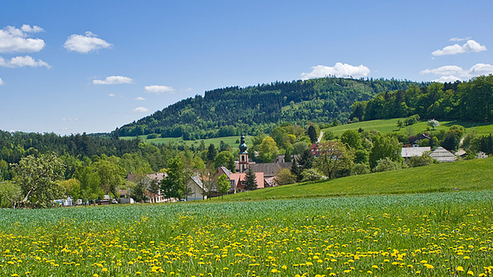 Idyllisches kleines Dorf inmitten einer Blumenwiese | Bildquelle: Juergen Wackenhut Idyllisches kleines Dorf inmitten einer Blumenwiese