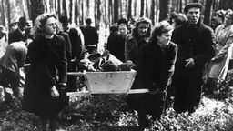 Auf Anordnung von US-Offizieren tragen deutsche Zivilisten die Leichen von 120 KZ-Opfern zur Beisetzung zum Stadtfriedhof