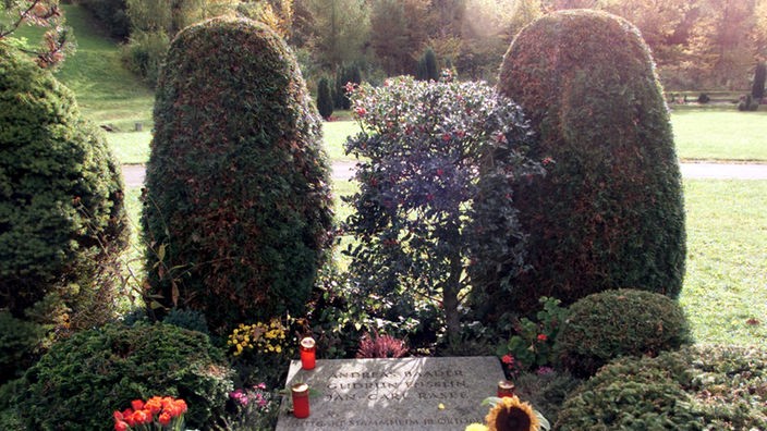 Das Foto zeigt das Grab von Baader, Ensslin und Raspe. Auf dem schlichten rechteckigen Grabstein stehen ihre Namen. Das Grab ist dicht bepflanzt. Eine große Sonnenblume lässt im Herbstlicht den Kopf hängen.