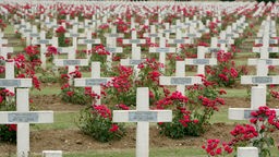 Das Bild zeigt einen Ausschnitt des französischen Nationalfriedhofs. Büsche mit roten Blüten stehen zwischen weißen Kreuzen.