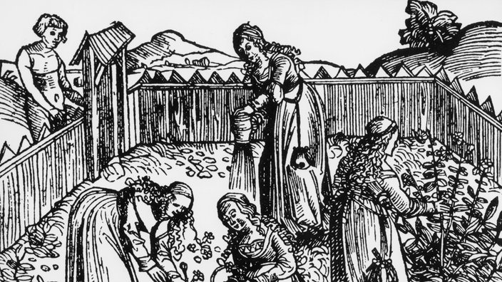Holzschnitt: Frauen im Kräutergarten | Bildquelle: akg Holzschnitt: Frauen im Kräutergarten