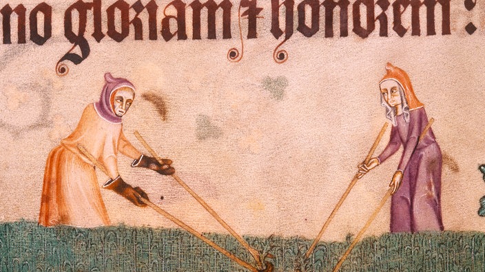 Mittlelalterliche Illustration: Frauen bei der Feldarbeit | Bildquelle: akg-images, British Library Mittlelalterliche Illustration: Frauen bei der Feldarbeit