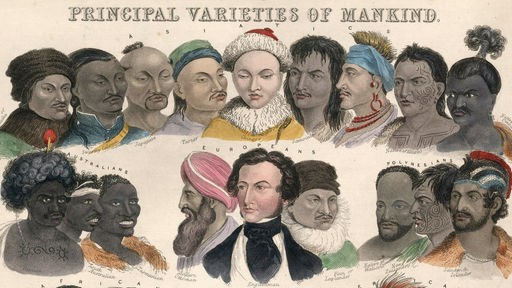 Altes Schaubild von 1850 mit männlichen Köpfen unterschiedlicher Herkunft