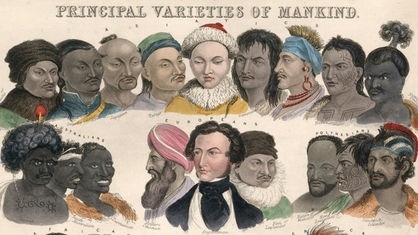 Eine sogenannte Rassetafel aus dem 19. Jahrhundert, die Zeichnungen von Köpfen verschiedener Rassen darstellt.