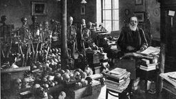 Umgeben von Skeletten steht der Mediziner Rudolf Virchow in seinem Arbeitszimmer in Berlin