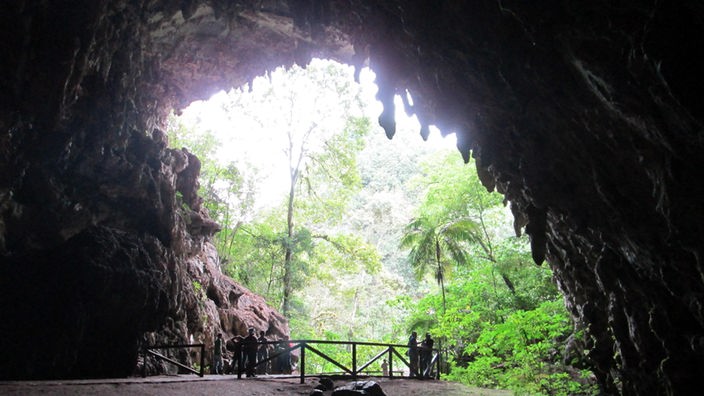 Eingang der Guácharo-Höhle 