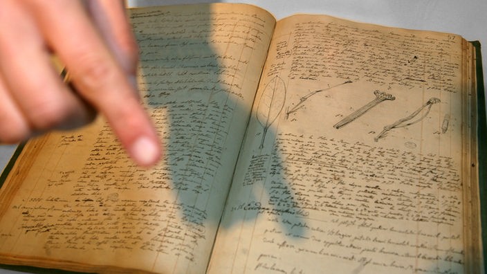 Aufgeschlagene Seite von Humboldts Tagebuch