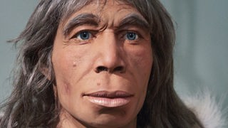Neandertalerfrau in Fellkleidung (Rekonstruktion)