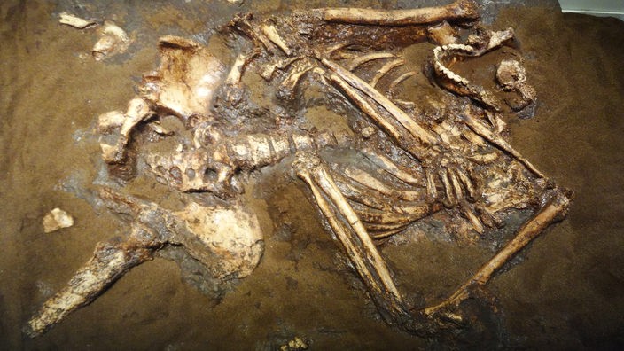 Skelett in einem Grab