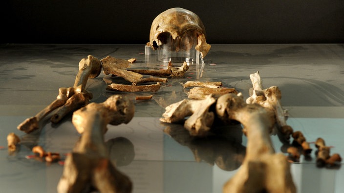 Das Skelett eines Neandertalers