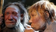 Nachbildungen von Neandertalern