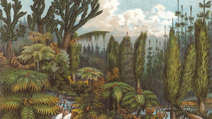 Aquarell: 'Steinkohlewald' - Landschaft mit Vegetation des Karbon.