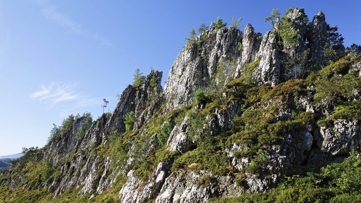 Geotop - Großer Pfahl - im Bayerischen Wald.