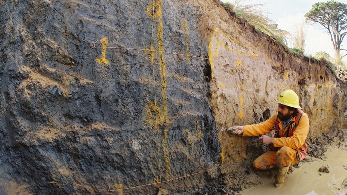 Ein Geologe untersucht einen Aufschluss, in dem deutliche Unterschiede in der Gesteinsfarbe eine Verwerfung anzeigen.