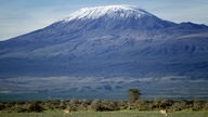 Schneebedeckter Kilimandscharo