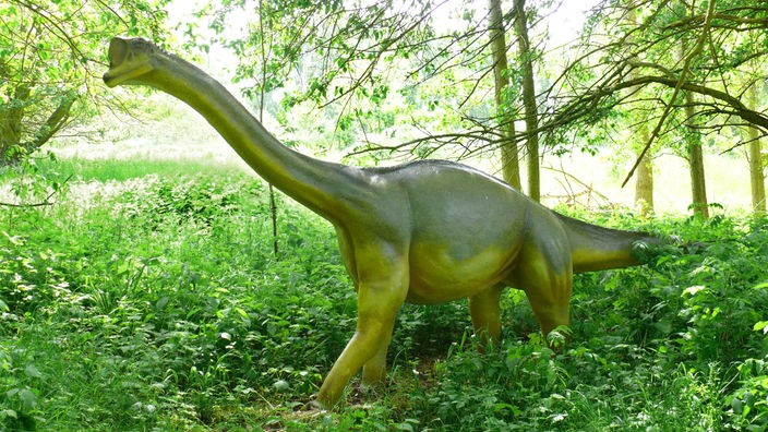 Aufnahme einer Europasaurus-Nachbildung
