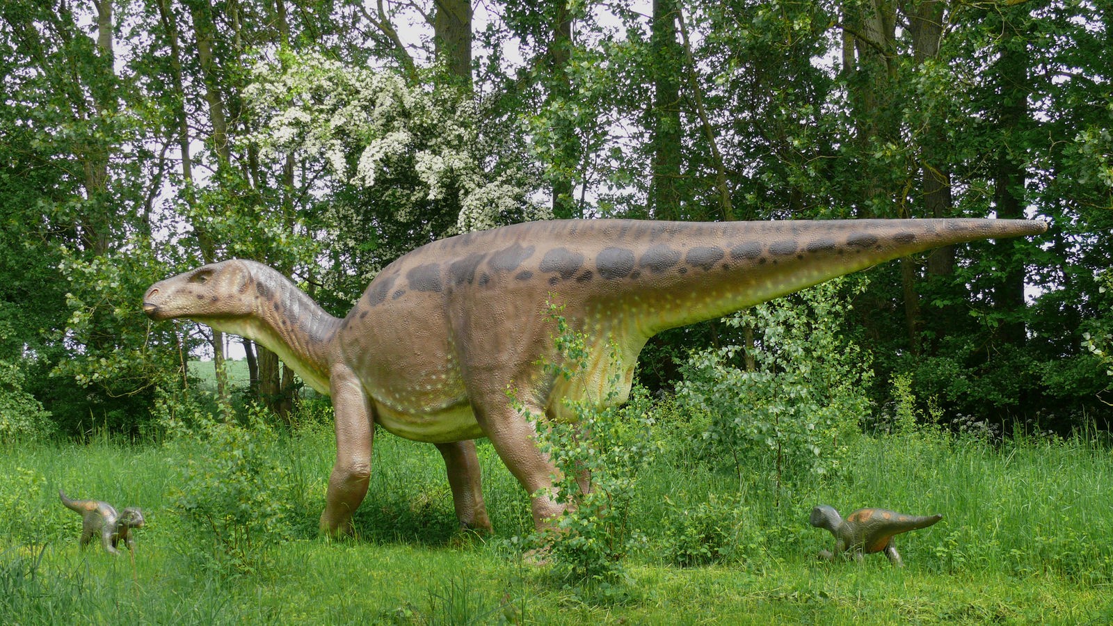 Rotstern DINOWORLD Diplodocus mit BPZ u Infozettel 2011 Dinosaurier 