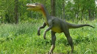 Aufnahme einer Nachbildung eines Velociraptors