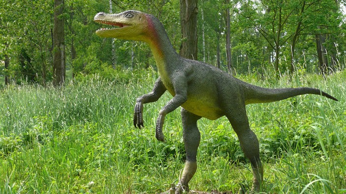 Aufnahme einer Nachbildung eines Velociraptors