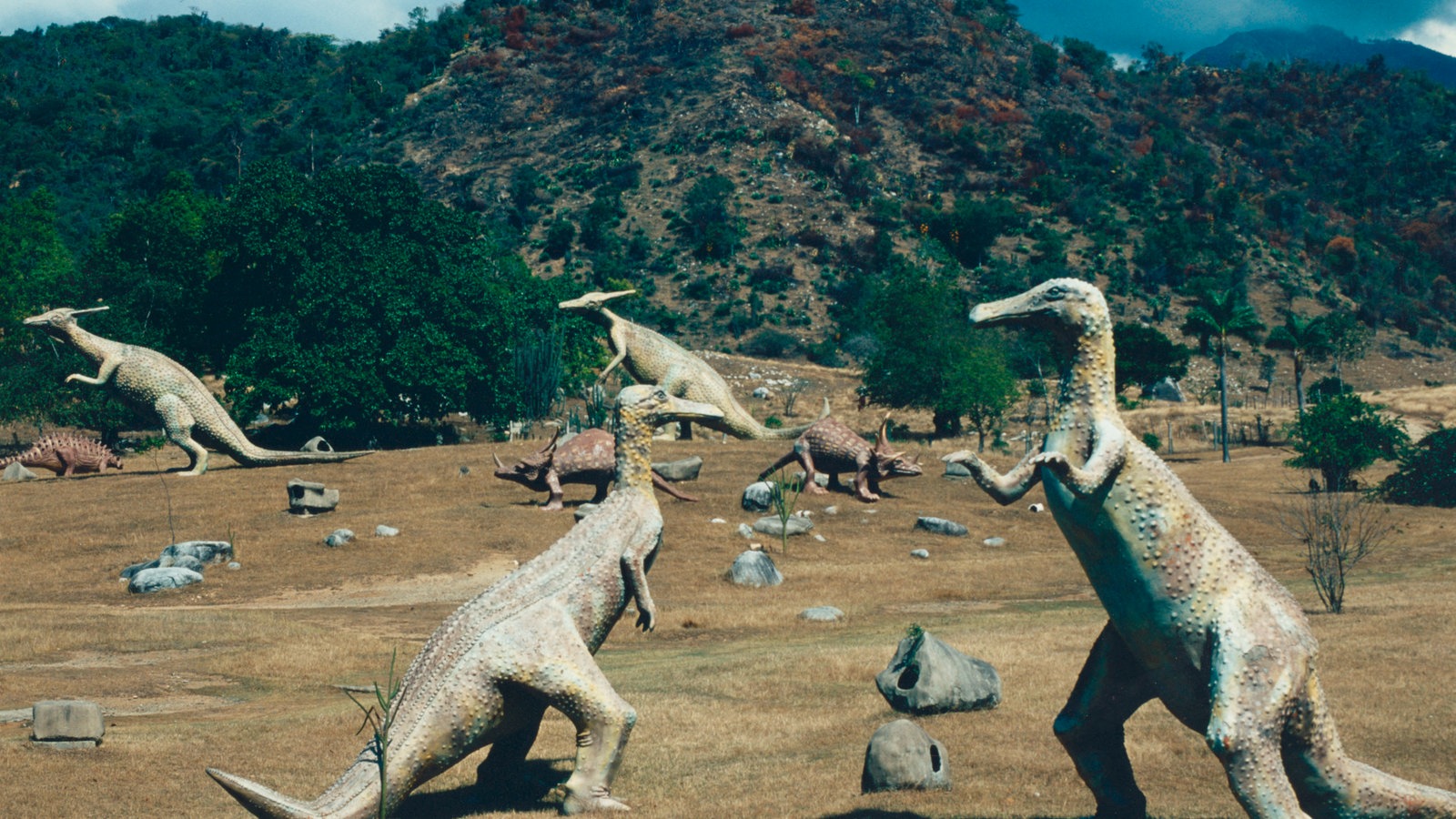 Dinosaurier Bilder Kostenlos Ausdrucken: Bringt die Urzeit zum Leben!