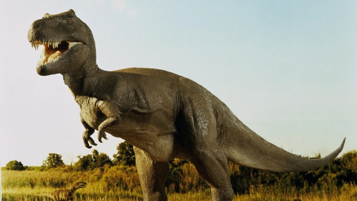 Ein Tyrannosaurus Rex mit Beute in einer offenen Landschaft.
