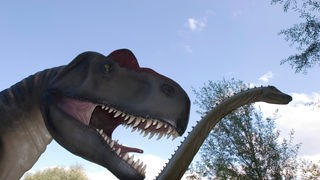 Zwei Dinosaurierfiguren in einem Park in Mittelfranken.
