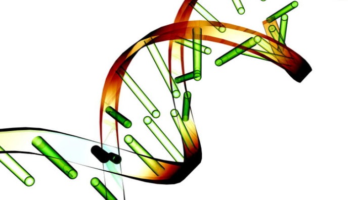 Ein DNA-Strang, der Bruchstellen hat. | Bildquelle: picture-alliance Ein DNA-Strang, der Bruchstellen hat.