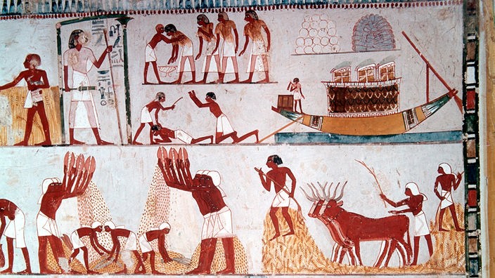 Die Fotografie einer ägyptischen Grabmalerei zeigt Sklaven bei verschiedenen Tätigkeiten auf dem Feld.