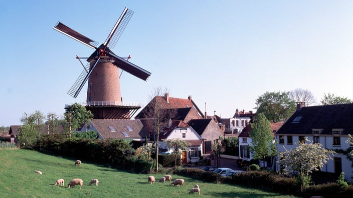 Windmühle in einem Dorf
