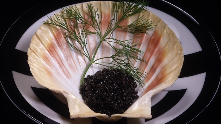 Dunkler Kaviar in einer Muschelschale.