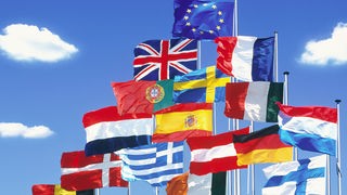 Flaggen der EU - Die Europa-Flagge thront über den Landesflaggen