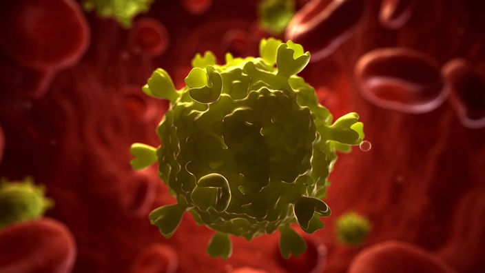 Eine Computergrafik mit dem Modell eines HI-Virus