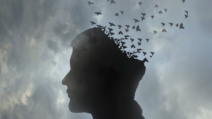 Grafik: Kopf eines Mannes löst sich auf in einen wegfliegenden Vogelschwarm