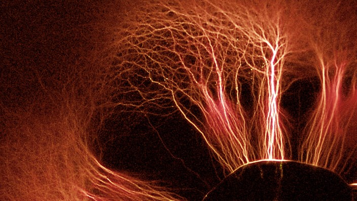 Drei Bündel roter Nervenzellen verbinden sich