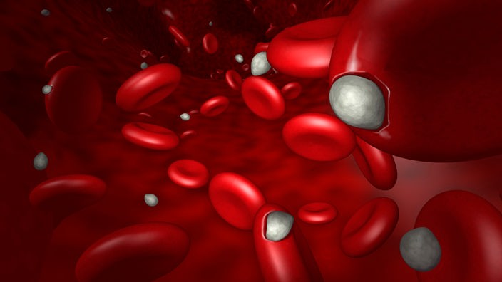 Animierte Grafik eines roten Blutkörperchens, in dem kleinere weiße Zellen eingeschlossen sind.