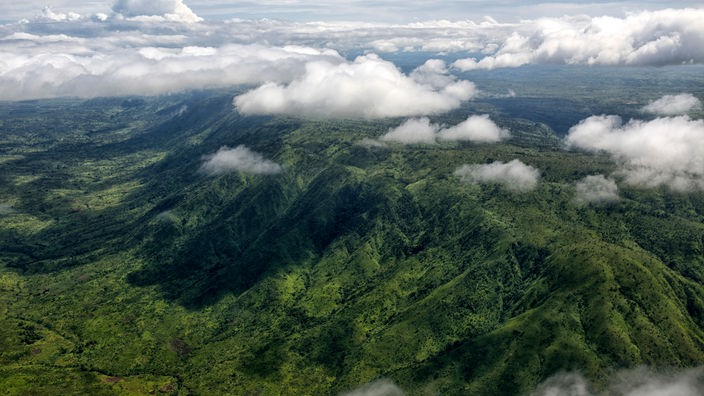 Luftaufnahme des Regenwalds im Kongo