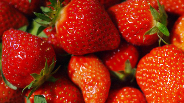 Erdbeeren in Großaufnahme.