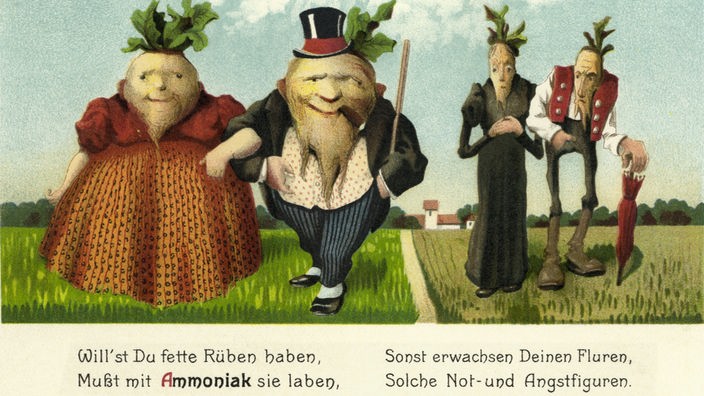 Historische Werbung fuer Ammoniak-Dünger von 1915