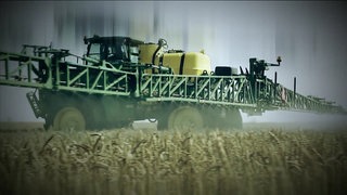 Traktor beim Ausbringen von Spritzmittel auf einem Getreidefeld.