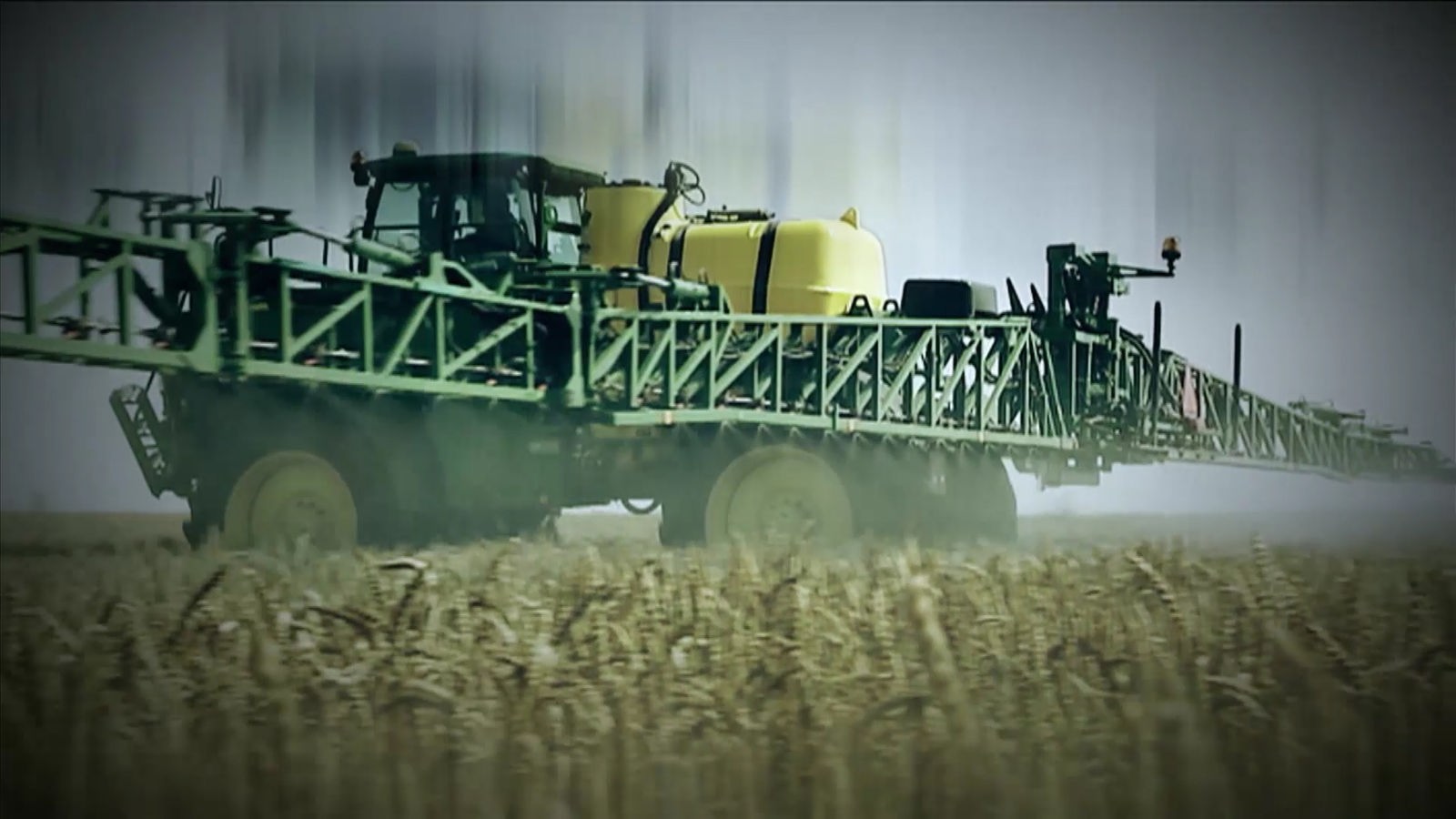 Traktor beim Ausbringen von Spritzmittel auf einem Getreidefeld.