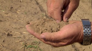 Screenshot aus dem Film "Wie die Landwirtschaft auf Dürre und Hitze reagiert"
