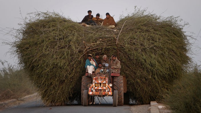 Pakistaner sitzen auf einem Traktor, der einen Anhänger mit einem riesigen Berg Heu zieht.