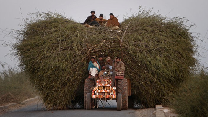 Pakistaner sitzen auf einem Traktor, der einen Anhänger mit einem riesigen Berg Heu zieht. | Bildquelle: AFP/Behrouz Mehri Pakistaner sitzen auf einem Traktor, der einen Anhänger mit einem riesigen Berg Heu zieht.