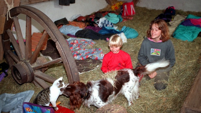 Mit Hund und Katze können die Ferienkinder in ihrem Heubett spielen und schlafen. | Bildquelle: WDR/dpa/ZB Mit Hund und Katze können die Ferienkinder in ihrem Heubett spielen und schlafen.
