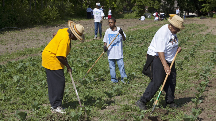 Freiwillige arbeiten auf einem städtischen Bauernhof, der D-town Farm in Detroit