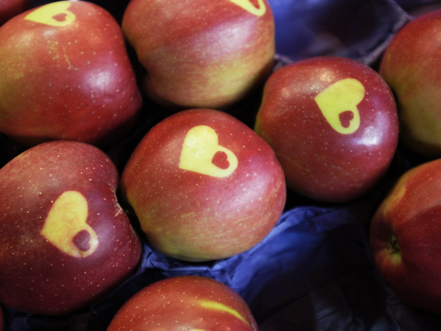 der - Gesellschaft wird Warum Wissen - Lebensmittel Planet Äpfel: - rot? Apfel